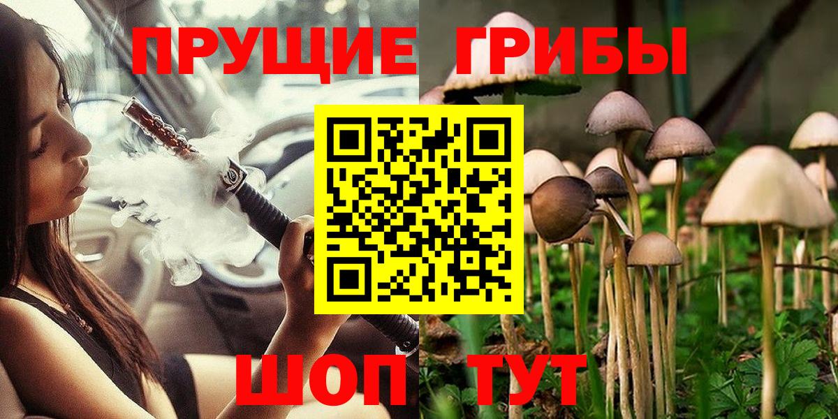 Псилоцибиновые грибы ЛСД  Вход с VPN  Псилоцибиновые грибы MAGIC MUSHROOMS  Липецк 